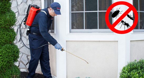 Sarayönü Karınca İlaçlama böcek ilaçlama ve haşere kontrolü — ilaclama-tr.com